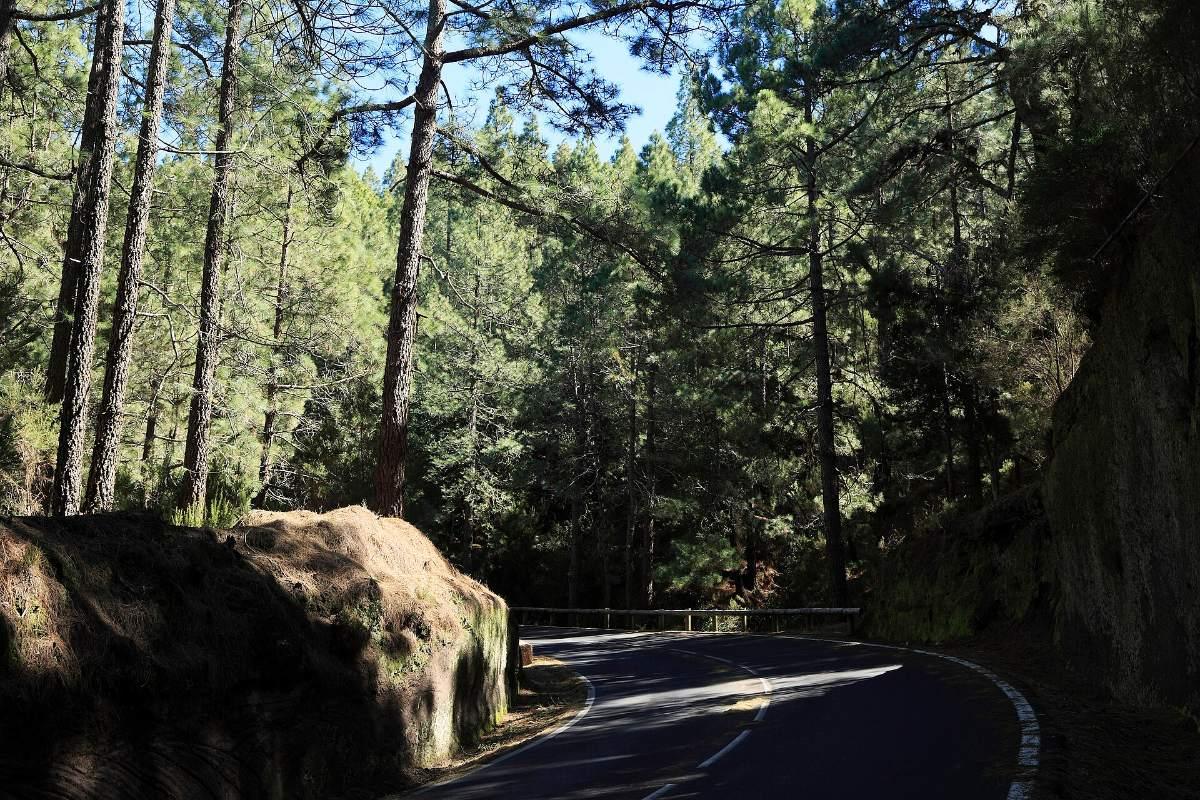 Carretera forestal de La Esperanza